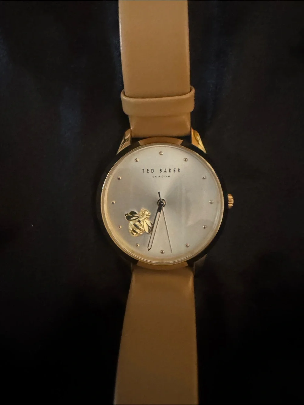 Ted Baker sleek ted
